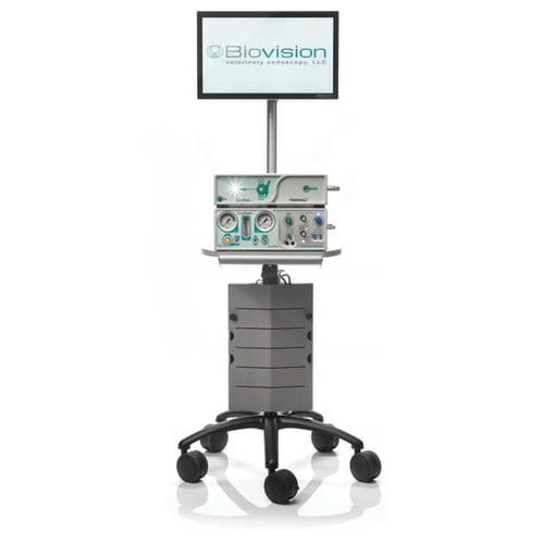 Video veterinary laparoscope - EDSS - Biovision Veterinary Endoscopy