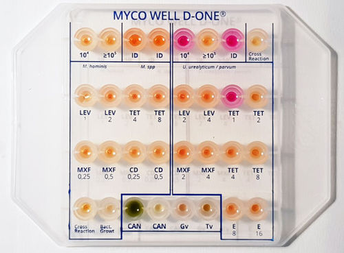 Antimicrobial susceptibility test kit - MS01283 - CPM SAS - for identification analysis / Mycoplasma / Gardnerella vaginalis