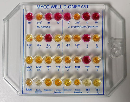 Antibiotic susceptibility testing test kit - MS01347 - CPM SAS - for identification analysis / urogenital