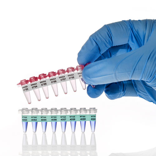 PCR tube label - PCR-TAG™ - GA International - heat-resistant / cryogenic / for long-term storage