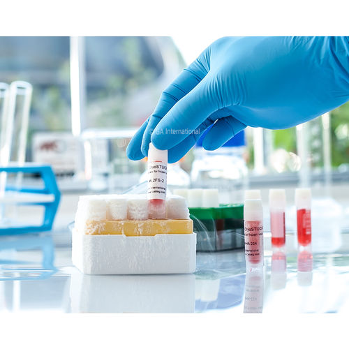 Cryogen tube label CryoSTUCK® GA International for