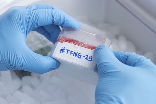 Cryo box label - CryoSTUCK® Tape with GatorCUT™ - GA International - for cryogen tubes / for vials / cryogenic