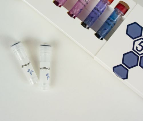 Buffer solution reagent - BaseBlocker™ - PentaBase - for molecular biology / lyophilized