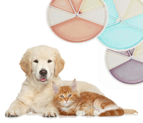 Urinary tract infection test kit - Flexicult® Vet Scandinavia  - SSI Diagnostica - veterinary / bacteria / urine