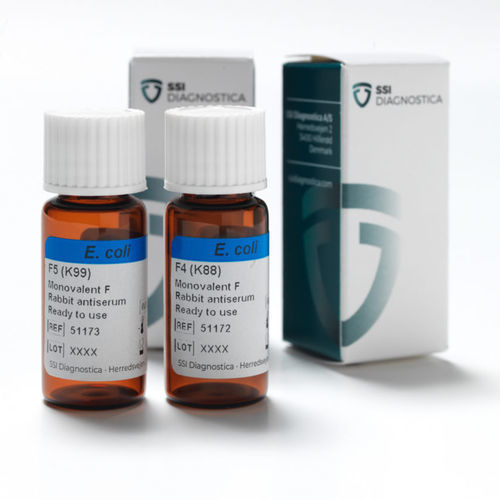 Antibody - 51172 - SSI Diagnostica - antiserum / rabbit serum / antigen