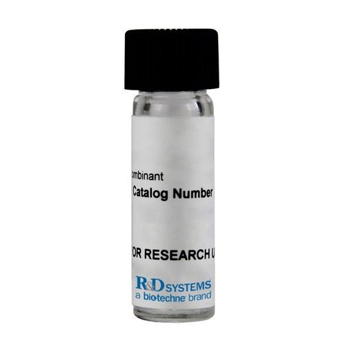 Research reagent - 11349-IL series - R&D Systems - solution / bovine serum albumin / cytokine