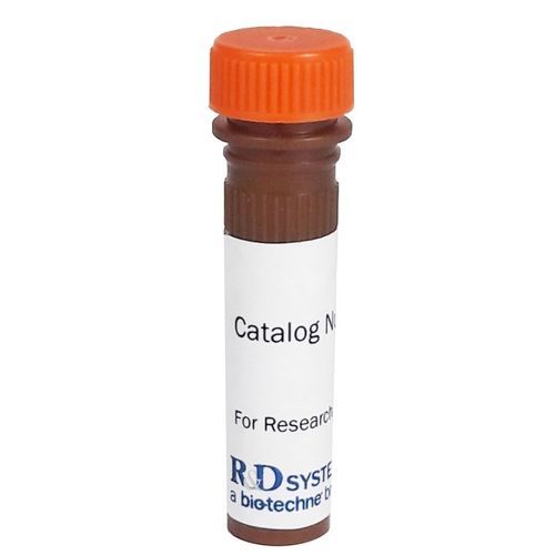 Antibody - FLC001V - R&D Systems - solution / for research / sodium