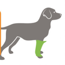 Elbow protection veterinary joint protection - BUDDY® - QOL - Quality Of Life