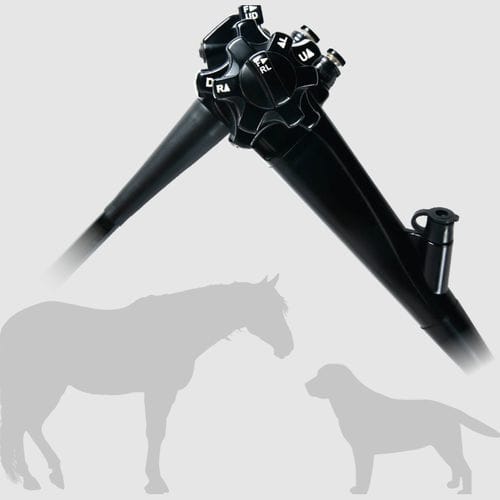 Video veterinary gastroscope - OVV-2H - MITRA Industries - for small animals / for large animals / with working channel