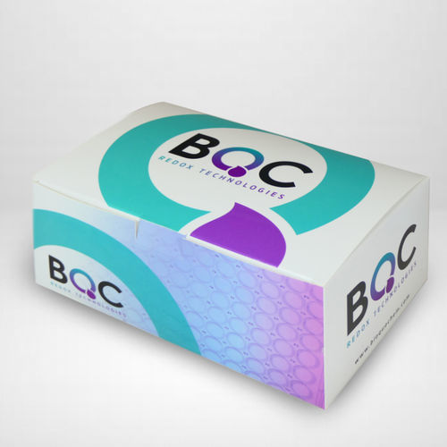 Cellular biology assay kit - KP06002 - Bioquochem - cell