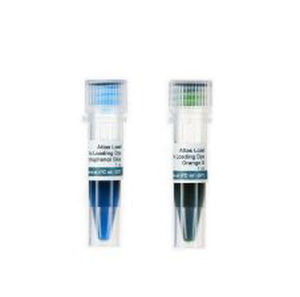 Solution reagent - Atlas Load 6x - BioAtlas - dye / for research / pH