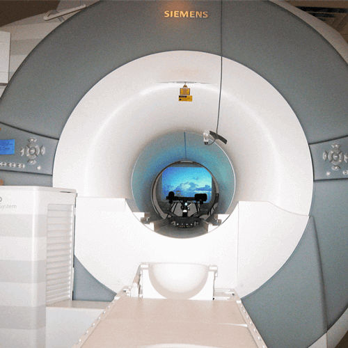 MRI eye tracker EyeLink 1000 Plus SR Research desktop / video