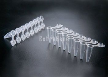 PCR sample tube - P-02X8-CF - ExtraGene,Inc. - cone-bottom / polypropylene