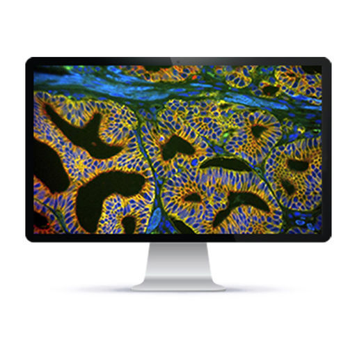 Automatic cell imaging system - Rainbow™ - Applied Spectral Imaging - laboratory / clinical / fluorescence