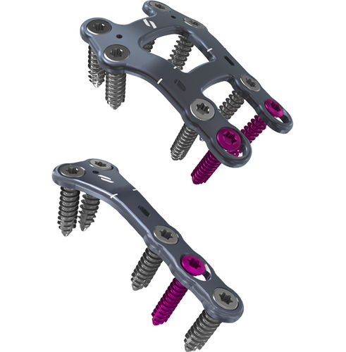 Tarso-metatarsal joint arthrodesis plate - Airlock® - novastep - locking / metallic