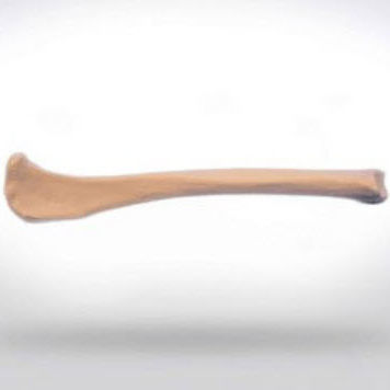 Tibia anatomical model - 0812.00 - SYNBONE AG - surgery / veterinary / for teaching