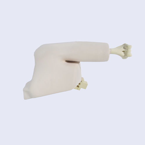 Bone model - LSH5760.1 - SYNBONE AG - joint / humerus / shoulder