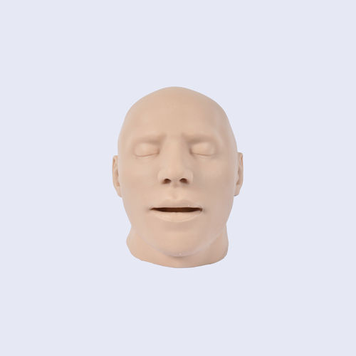 Skull model - 8800.H - SYNBONE AG - skin / side / surgery