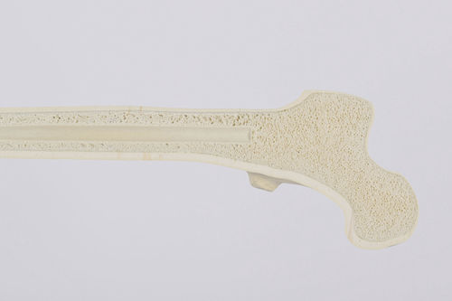 Cancellous bone model - SYNBONE AG - bone / joint / orthopedic surgery