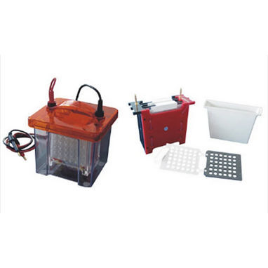 Vertical electrophoresis tank - AE-verBLOT - AE Lab.Ltd