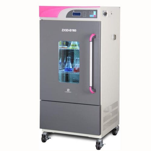Forced air laboratory incubator - ZXSD-B1160 - Labwit Scientific