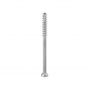 Calcaneus compression bone screw - HankilTech Medical - metatarsal bone / humerus / radius