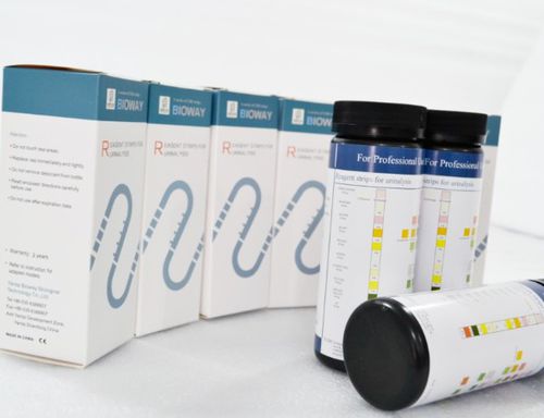 Kidney disease test strip - URS-2 - Bioway Biological Technology Co.,Ltd - urinary tract infection / glucose / protein