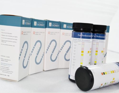 Kidney disease test strip - URS-12H - Bioway Biological Technology Co.,Ltd - urinary tract infection / for infectious diseases / pH