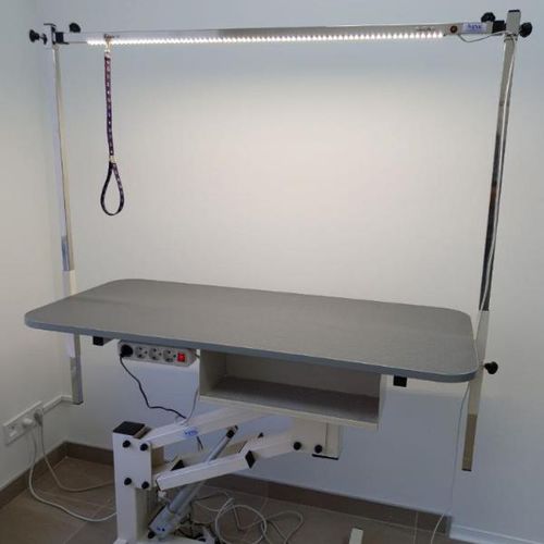 Lifting grooming table - JE-04e	 - EVG - EdenVetGroom - electric