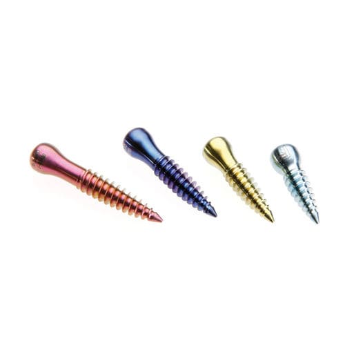 Calcaneus arthrodesis screw - SPHERUS - Gruppo Bioimpianti - subtalar joint / metallic