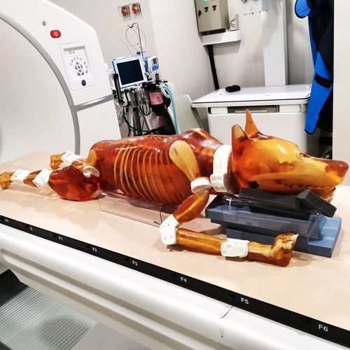 MRI veterinary test phantom - True Phantom Solutions