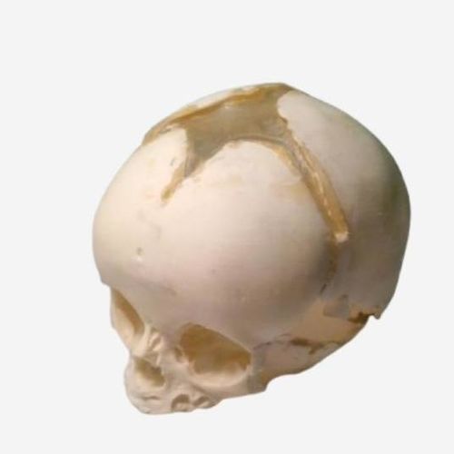 Ultrasound imaging test phantom - SL-N01 - True Phantom Solutions - for radiography / for CT scan / for MRI