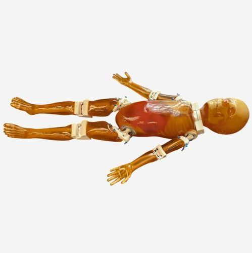 Ultrasound imaging test phantom - FB-P01 - True Phantom Solutions - for MRI / for tomography / for radiography