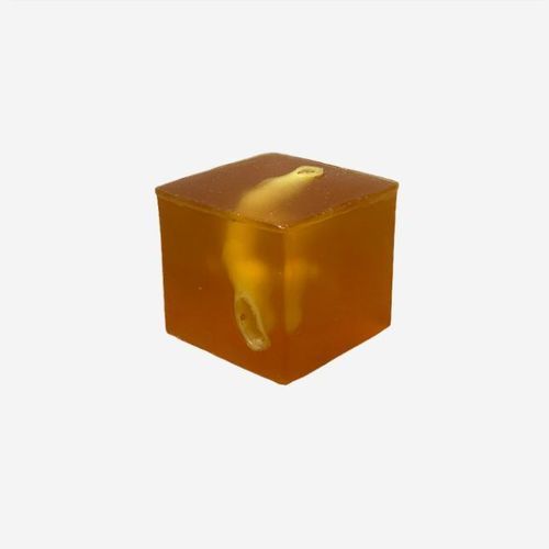 Ultrasound imaging test phantom - US-G01 - True Phantom Solutions - prostate