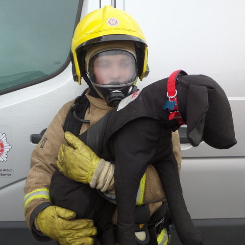 Emergency care training manikin - RLDOG series - Ruth Lee - for rescue exercises / dog / plastic
