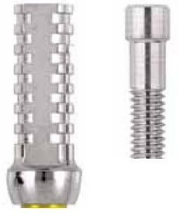 Titanium implant abutment - WINSIX®  - BioSAF IN - external / straight