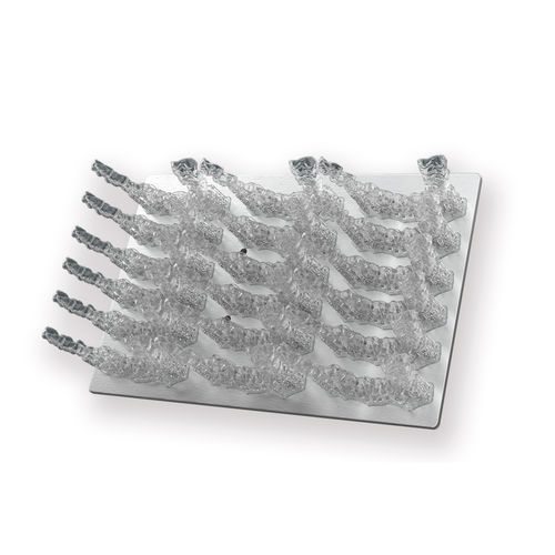 Orthodontic material - ZSLM24TR001 - UNIZ - transparent / biocompatible