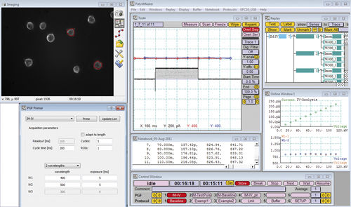 Acquisition software - SmartLUX - HEKA - scan / for research
