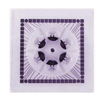 Laboratory MEA plate - 60-6wellMEA200/30iR-Ti series - Multi Channel Systems - single-well