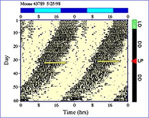 Analysis software - ACT-500 - Coulbourn Instruments - for animal research