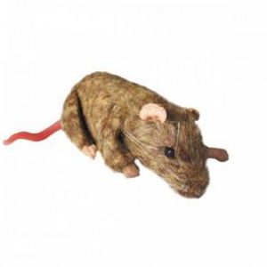 Training simulator - SQUEEKUMS - INTELLIBIO - for animal research / rodent