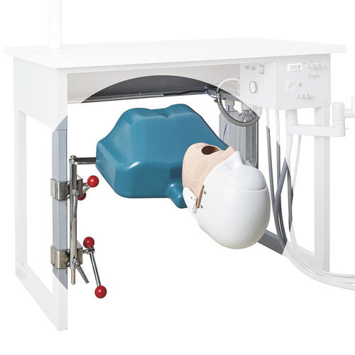 Dental care training manikin - JG-C7 - FOSHAN JINGLE MEDICAL EQUIPMENT CO., LTD - head / portable
