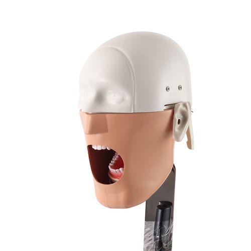 Dental care training manikin - JG-C3 - FOSHAN JINGLE MEDICAL EQUIPMENT CO., LTD - dental / for teaching / for demonstration