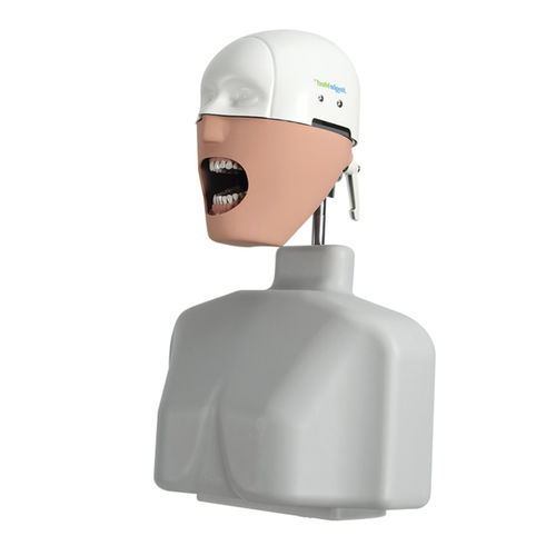 Dental care training manikin - JG-C2 - FOSHAN JINGLE MEDICAL EQUIPMENT CO., LTD - for endodontics / for periodontics / for dental conservation