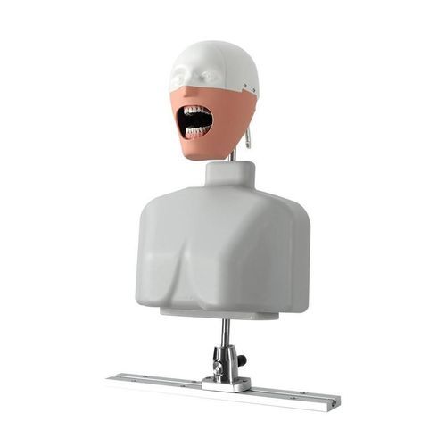Dental care training manikin - JG-C8 - FOSHAN JINGLE MEDICAL EQUIPMENT CO., LTD - for dental hygiene / for general care / for teaching