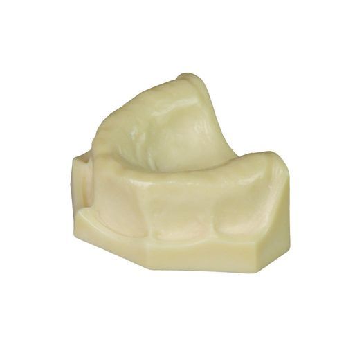 Dental model - JG-Y8-F1-3 - FOSHAN JINGLE MEDICAL EQUIPMENT CO., LTD - bone / dental care / for implantology
