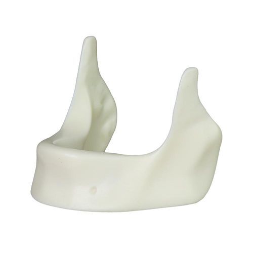 Mandible model - JG-Y12-Y - FOSHAN JINGLE MEDICAL EQUIPMENT CO., LTD - dental care / surgical / for implantology
