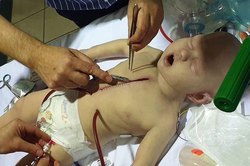 Emergency care patient simulator - Harley2 - LifeCast Body Simulation Ltd - cardiac surgery / anatomy / whole body