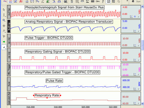 Respiratory photoplethysmograph - BIOPAC - STARR Life Sciences - for animals