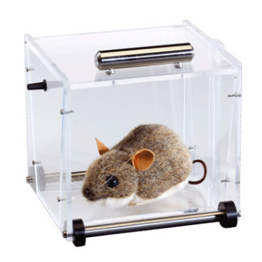 Animal research induction chamber - 8329001  - Univentor - for mice